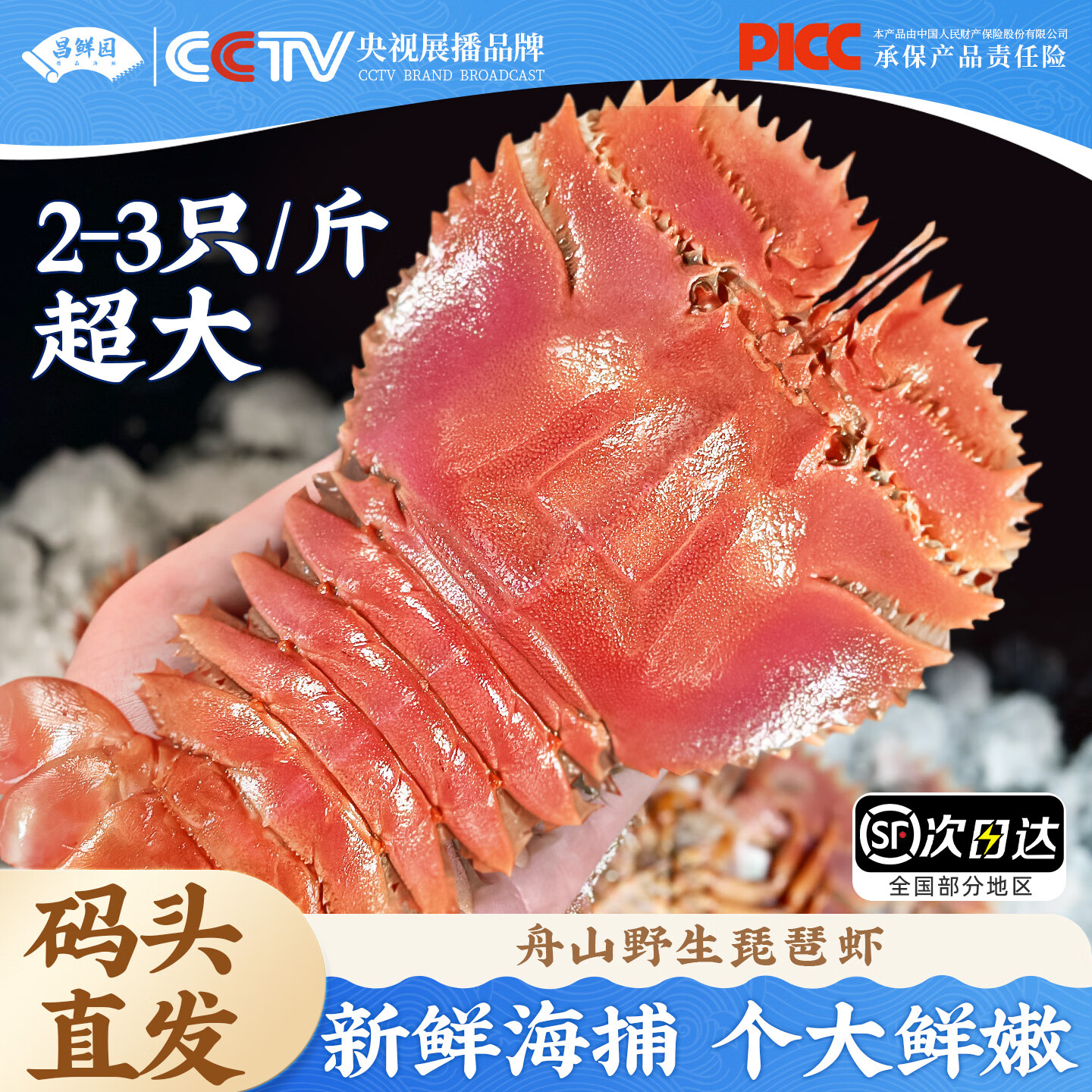 昌鲜园舟山琵琶虾野生鲜活冷冻九齿扇虾海捕濑尿虾新鲜虾姑海虾船冻爬虾 1000g(净重)  7-8只/斤【11-13cm 产地直发】