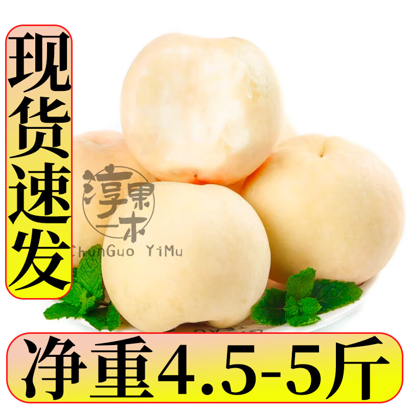 淳果一木奶油正宗大白桃子脆甜毛桃子新鲜白如玉水果水甜蜜桃应季新鲜水果 优选装 5斤（净重4.5-5斤）
