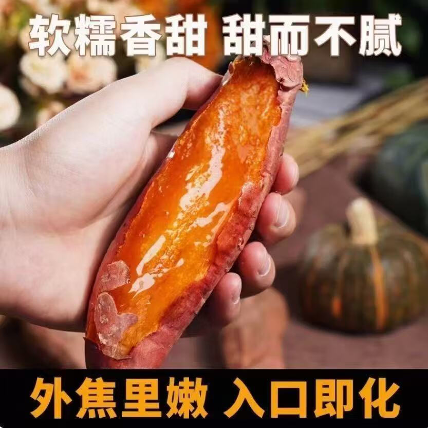 【热卖】农家龙九蜜薯新鲜农家自种沙地蜜薯地瓜整箱批发 蜜薯 5斤 带箱 小果