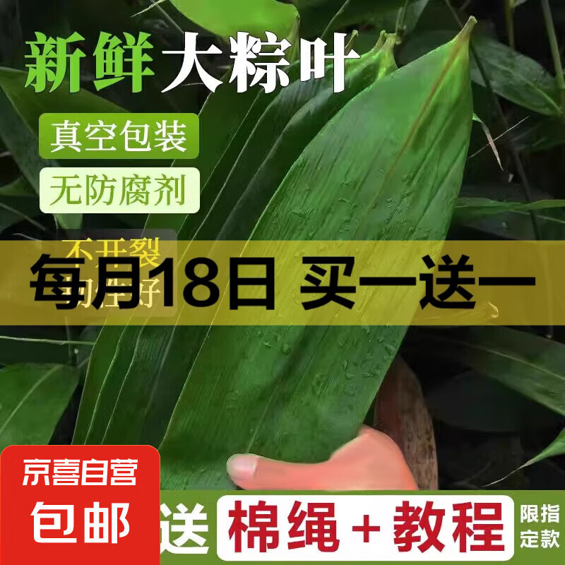 粽子叶棕叶新鲜大号新叶包粽子专用的叶子端午节便宜批发粽叶大号 中号【8-13cm】粽叶100片(福利)