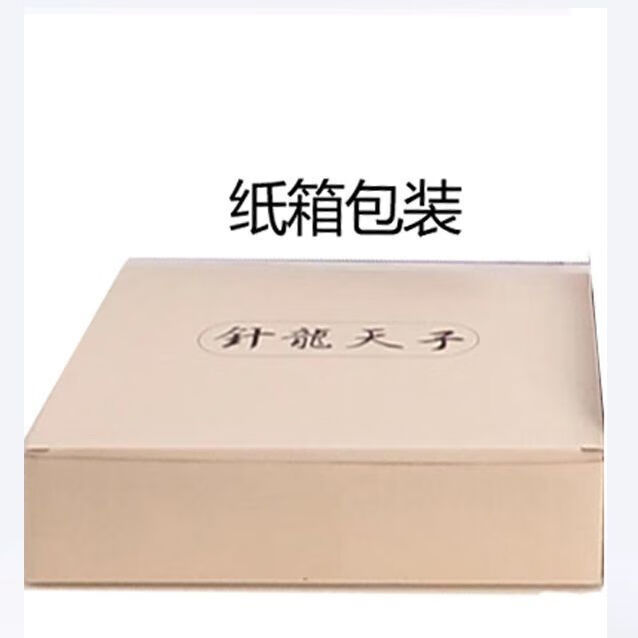 2025年第6代新款中医电火针智能升温精准定位医用电火针一整套 纸箱