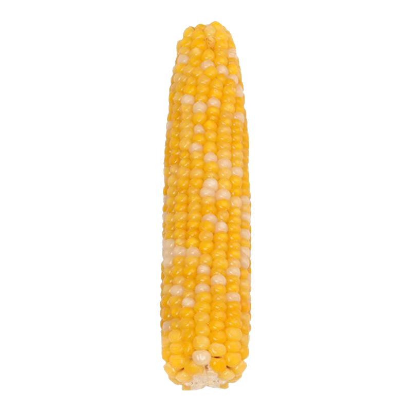 CARNO��ŵĥ�����ײ���ĥ������˿��ĥ����ʳ5��װ 6.31Ԫ