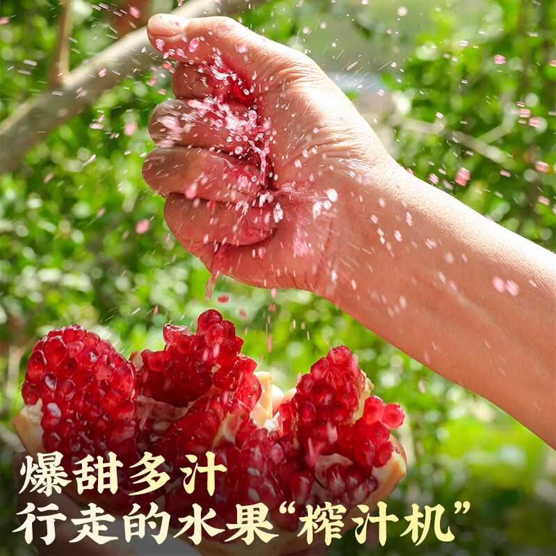 三萌果蔬突尼斯软籽石榴 四川当季新鲜红石榴水果次日达中秋节日礼盒送礼 5斤精选装【单果200g+】净重4.5斤