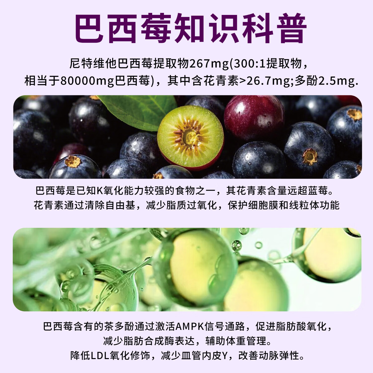 NEDEVITA尼特维他巴西莓片花青素抗自由肌美白抗氧化荷兰进口60粒/瓶 三盒装【肌肤好状态】