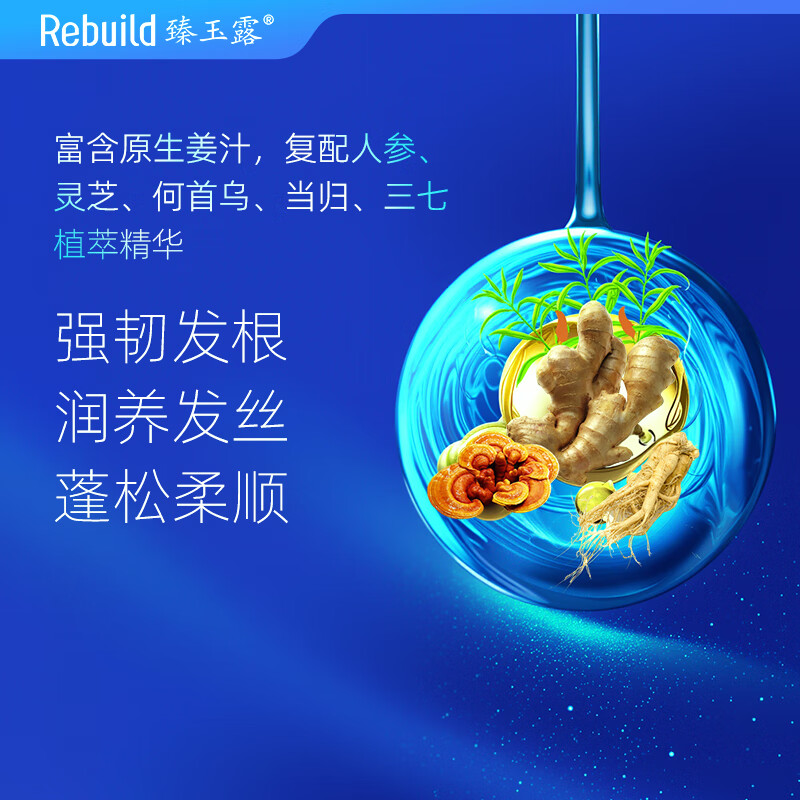 臻玉露Rebuild生姜氨基酸洗发水沐浴露套装去屑控油滋润 护发乳100ml