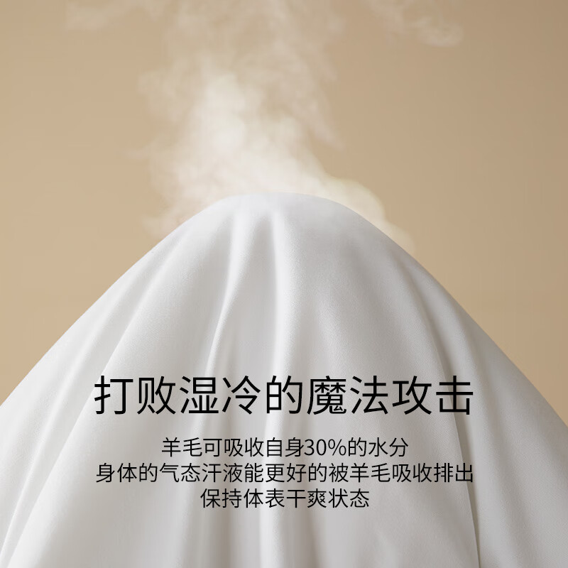 佳丽斯羊毛被子春秋冬被芯澳洲进口加厚保暖A类单双人学生宿舍被子被芯 澳洲进口羊毛被(加厚冬被) 1.8米床 230*230cm