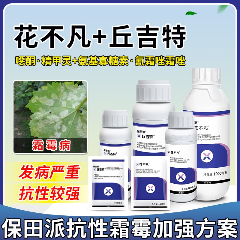 保田派抗性霜霉病加强方案丘吉特噁唑菌酮精甲霜灵花不凡氰霜唑杀菌剂