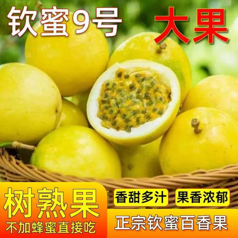 廣西正宗黃金百香果欽蜜9號當(dāng)季現(xiàn)摘水果 40個裝 單果30g 以下