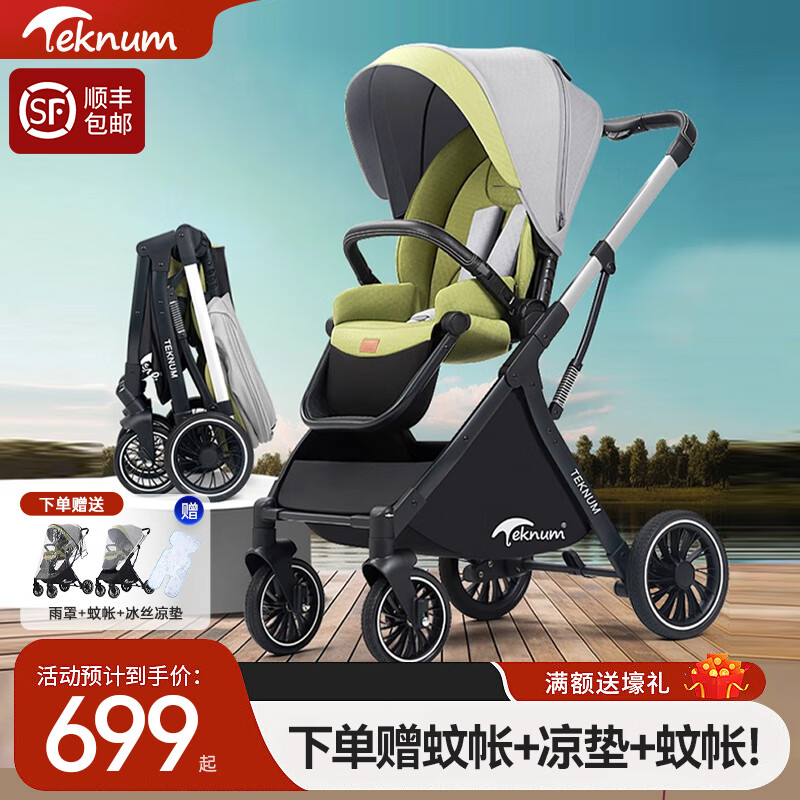 TEKNUM婴儿推车可坐可躺轻便折叠双向高景观新生婴儿童宝宝手推车 新款护驾系列-银驾