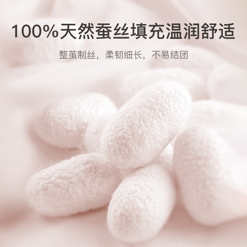 恒源祥蚕丝被100%天然蚕丝被子秋冬加厚保暖被结婚喜被四季通用蚕丝被芯 【洛迪纷】100%天然蚕丝丨抗菌 200*230cm冬被(总重7斤)