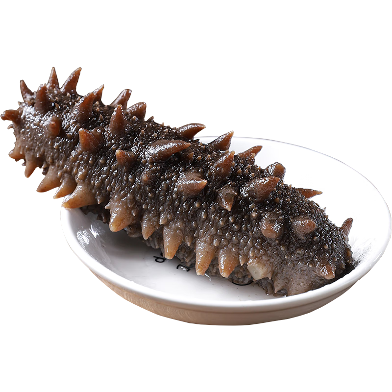 ʳʳӪ̲ɴ̲κز ʳ1 10-16ֻ/1198.0Ԫ99Ԫ/