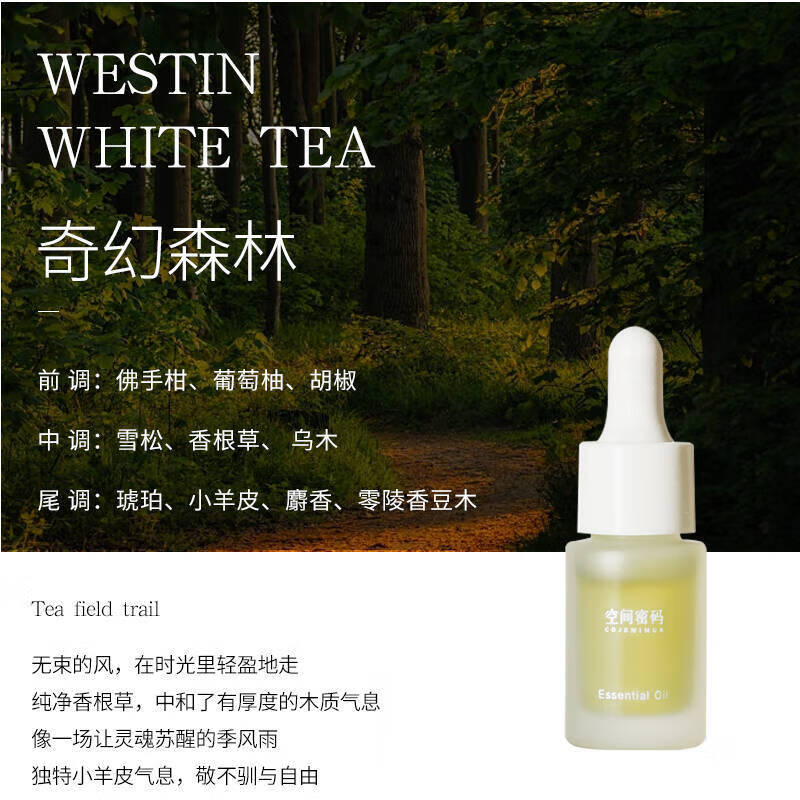 ���������ʯ��޹��ʯ�޻��Ͱڼ���� �������ɭ��10ML