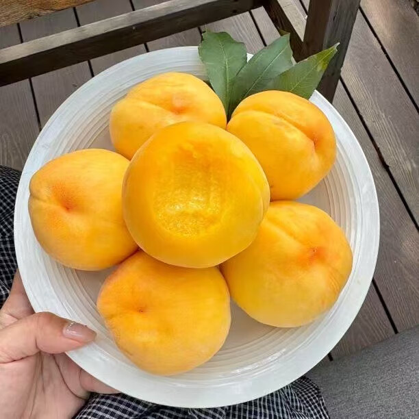 ��Ľ��������֮�硿ɽ���������ҵ���������������ˮ���������ë�� ������������ �� ��2.25��