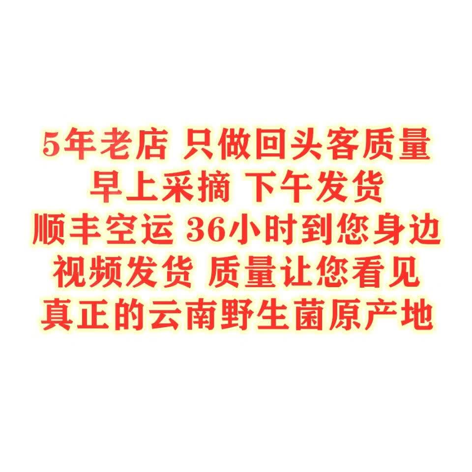 野生菌见手青牛肝菌新鲜现采顺丰空运粉菌白葱云南野生菌蘑菇2026 510g一斤精品质量装