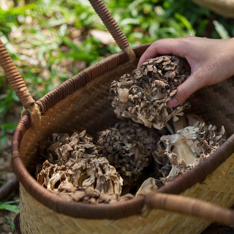干巴菌灰树花干货云南特产干巴菌灰树花美味山货食用菌菌菇蘑菇 净重
