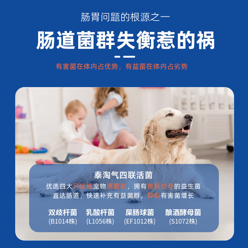 泰淘气狗狗猫咪宠物益生菌调理肠胃呕吐软便拉稀腹泻拉肚子专用30袋/盒