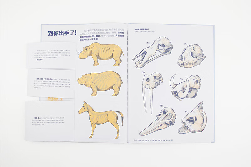 谁的骨头？详情图