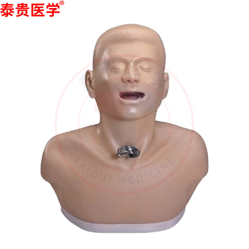 泰贵医学 成人气管切开护理模型 tg/h332
