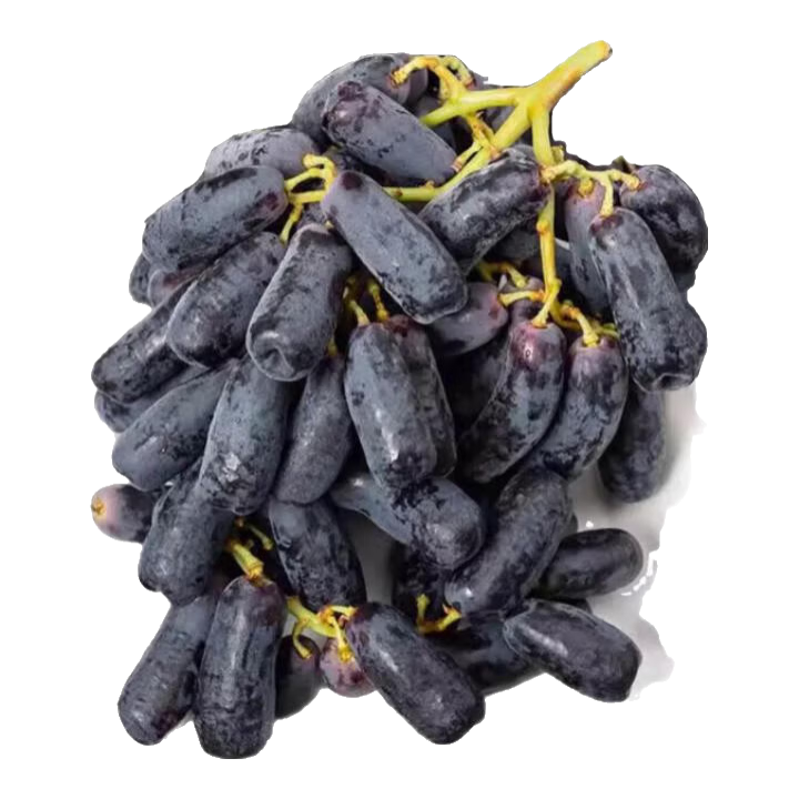 ���ڲ�������Ըɽ������ָ����ˮ������ʯ�ڼ������������������� ����2��װ����ѡ��