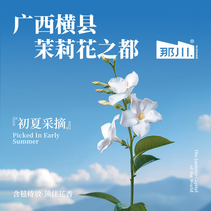 那川高山茉莉玫瑰白茶乌龙青柑普洱无糖茶 纯茶解渴饮料500*15瓶整箱 茉莉白茶500ml*15瓶