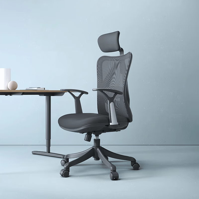 西昊（SIHOO）西昊M18人体工学椅电脑椅电竞椅家用靠背椅 M16 尼龙脚 固定扶手