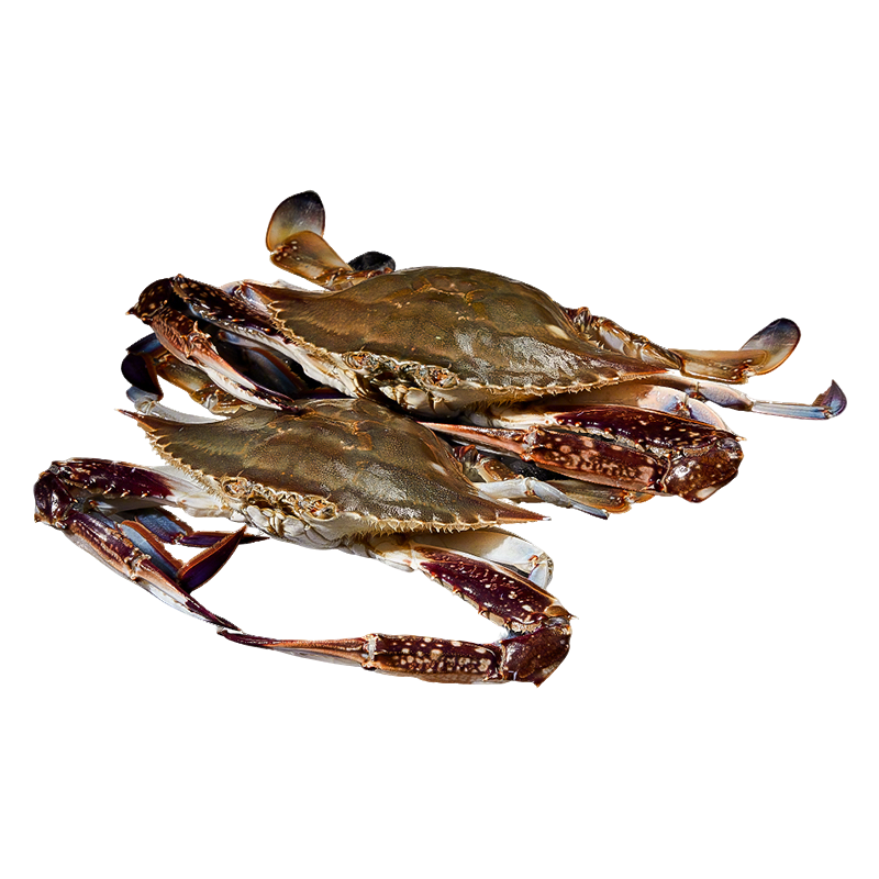 ���� ������ɽ����з3-5��/ֻ 3��װ ���ʲ��� ���з Դͷֱ��