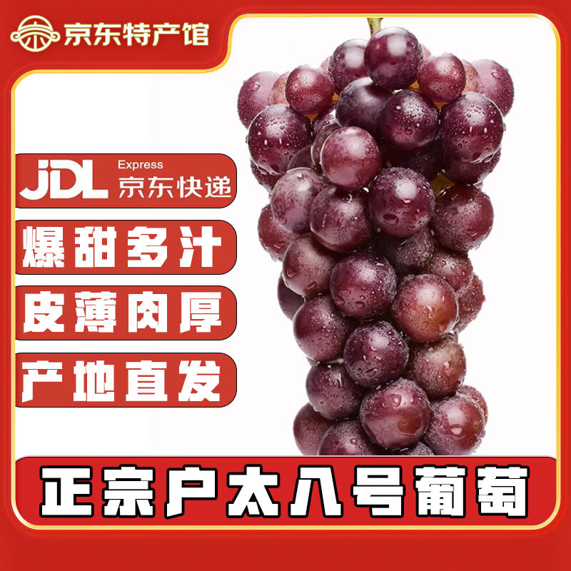 陕美农人正宗陕西特产八号葡萄现摘现发果园沪太8陕西新鲜水果当即葡萄 五斤中果(单颗粒6-8克) 京东物流-送货上门 京东折扣/优惠券