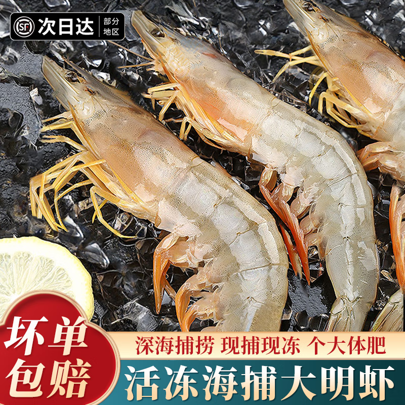 明虾鲜活速冻新鲜冷冻大虾野生海捕海虾夜宵海鲜水产 8只 600g(净重)