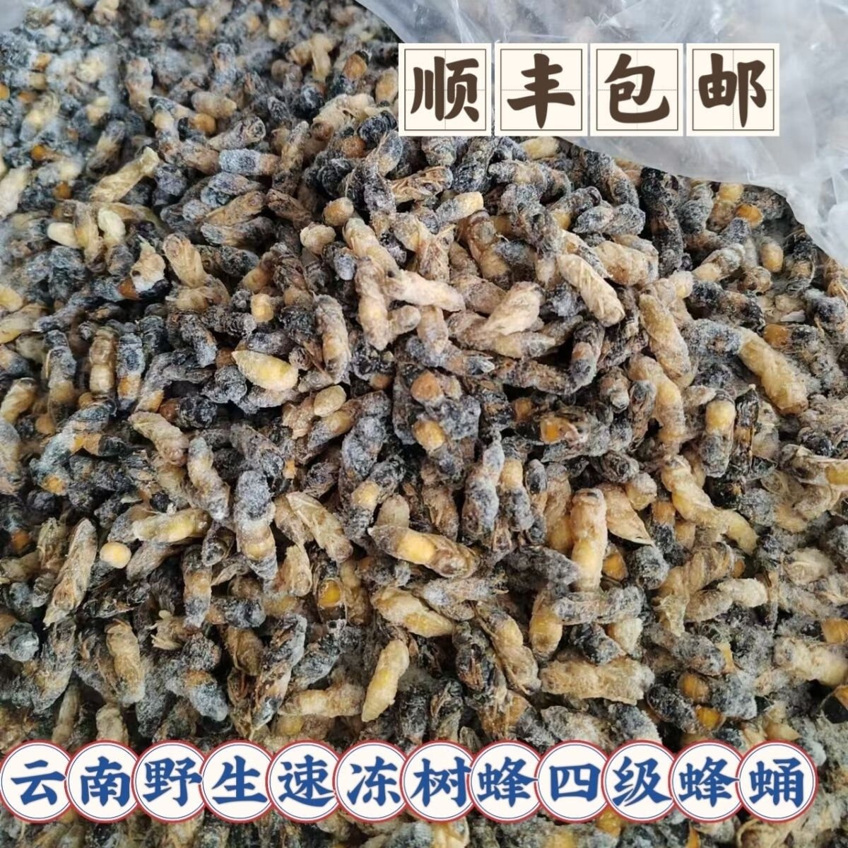 2025新鲜蜂马蜂蜂蛹高蛋白营养品油炸即食纯天然土蜂蛹葫芦蜂胡蜂