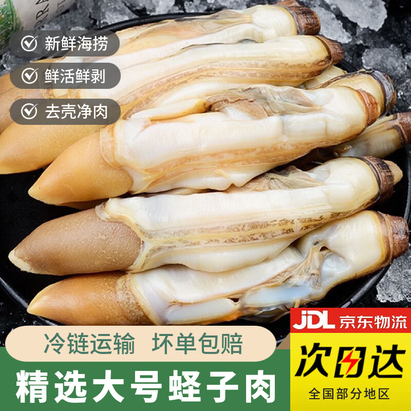 新鲜速冻蛏王肉竹蛏肉蛏子肉现剥手指蛏肉鲜活冷冻大饱满 大个蛏子肉2斤