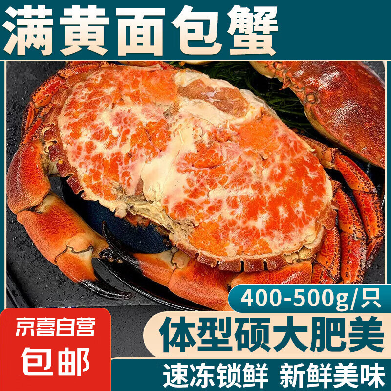 滿黃大面包蟹帝王蟹鮮活熟凍大螃蟹海蟹新鮮海鮮水產(chǎn)黃金蟹珍寶蟹 【2只】滿黃面包蟹 滿黃【400-500g/只】