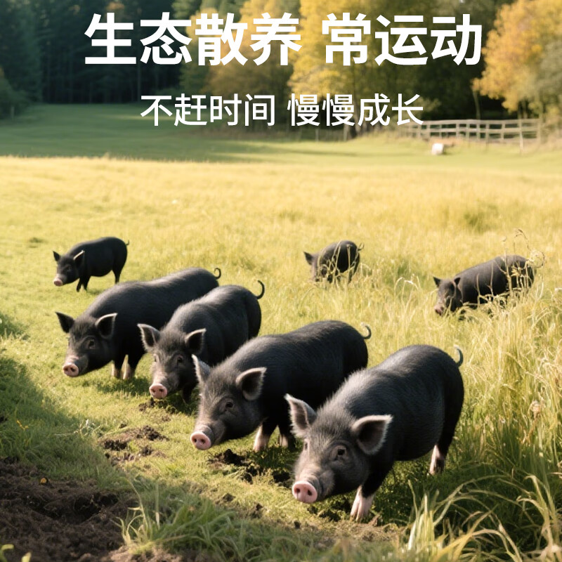 敏星即食猪肉肠儿童早餐外出便携免烤即食肠送敏宝宝婴儿食谱 猪肉肠1袋(15根)