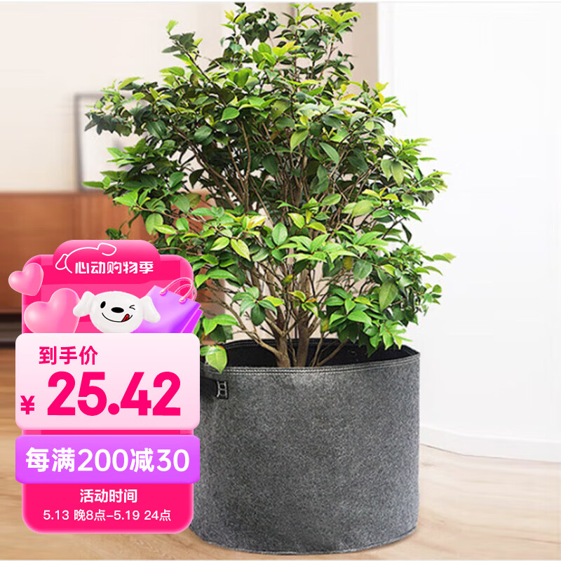 ǡ��ʱ����������͸���ظ�������̨ͥԺ������ֲ��������55*40cm