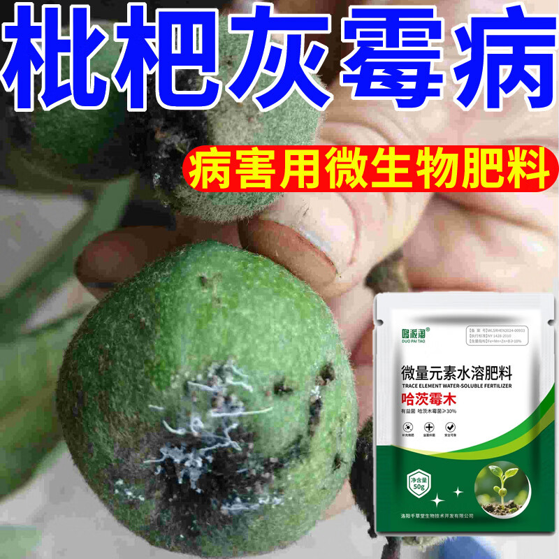 生物菌剂花腐病炭疽病灰斑病果腐病腐烂病用肥料 枇杷灰霉病50g*1袋装
