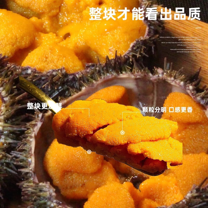 大连马粪海胆肉鲜活肉冰鲜板胆非刺身日料生鲜海鲜食材新鲜 马粪海胆纯肉100g*1盒