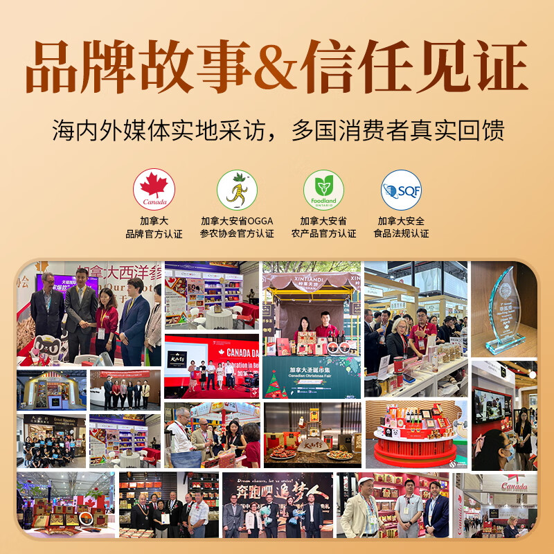 大山行西洋参片加拿大进口花旗参人参皂苷冬季滋补年货春节送礼品走亲戚 Canavida中片 120g*1盒 【年货礼盒】