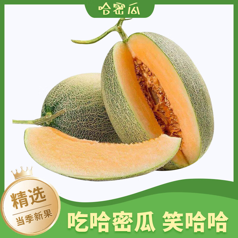 甄仙缘 西州哈密瓜 5斤