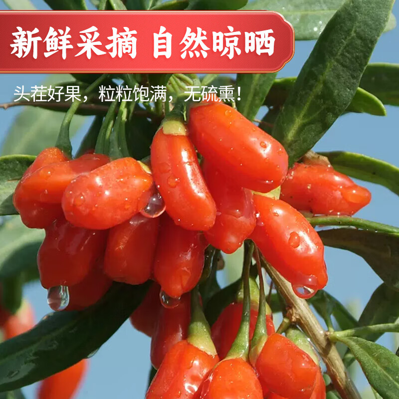 国杞天香枸杞子宁夏500g头茬红苟构纪干茶泡水新货大粒