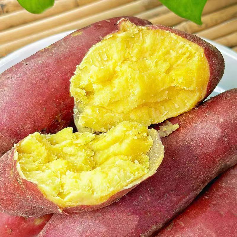 智颖源陕西板栗红薯番薯当季新鲜蔬菜地瓜粉糯香甜整箱现发 净重5斤小果【老顾客回购】