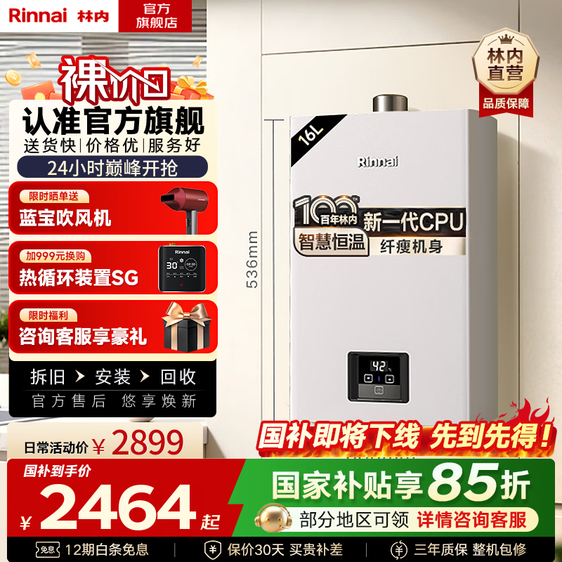 Rinnai/���� ��ˮ�� ǿ��ʽȼ�� �ǻۺ�������CPU 16�� JSQ31-GD JSQ31-GD31