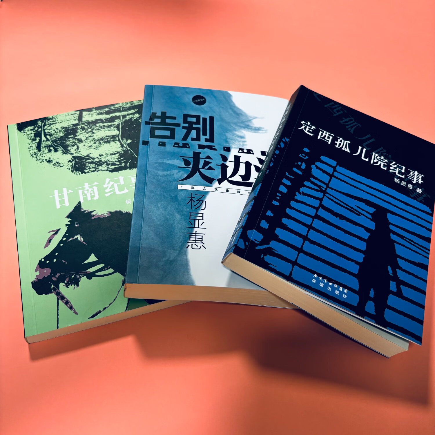 【京仓直配】 正版旧书《夹边沟》+《定西孤儿院纪事》+《甘南纪事》 杨显惠 著 花城出版社全3本(稀缺正版书售价高于定价介意者慎拍可开发票)