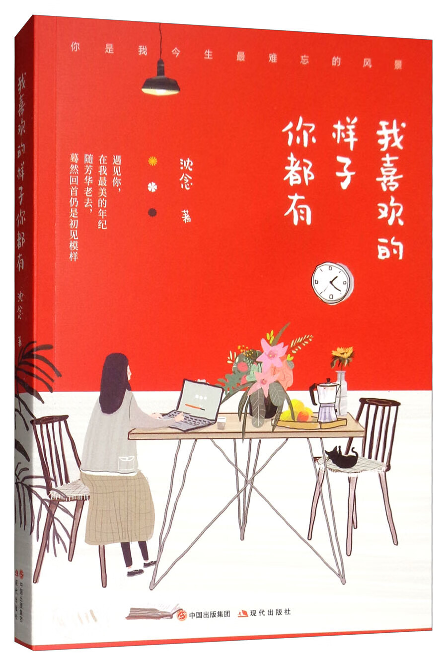 我喜欢的样子你都有