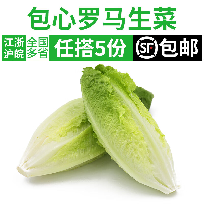 包心罗马生菜500g 罗纹生菜西餐新鲜蔬菜沙拉食材色拉菜满5件包邮