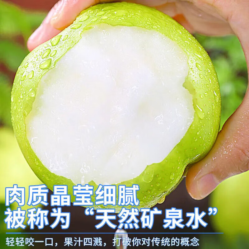 果农侠安徽砀山梨 青皮蜜梨酥梨 时令水果梨子大梨 5斤装单果250-300g净重4.5斤+