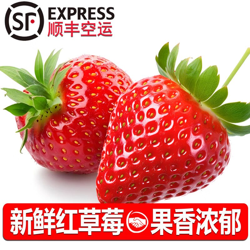 诸氏橙品【空运】草莓 奶油草莓红颜/白玉草莓孕妇当季新鲜水果多地次日配 红草莓2盒，15粒/盒，单果20g+