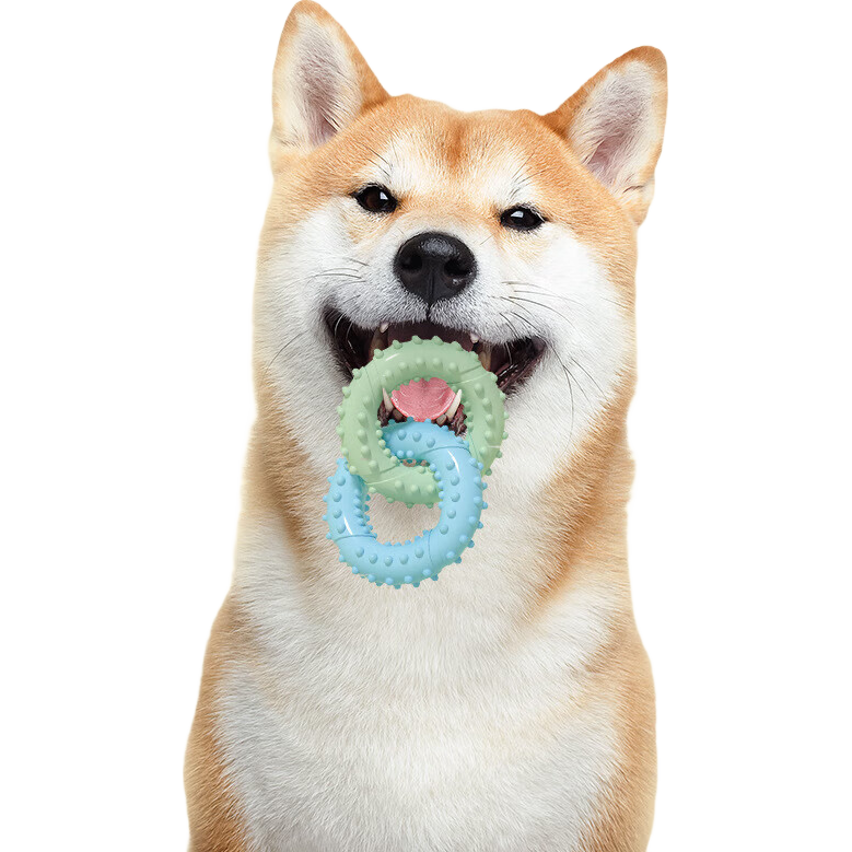 ����ĥ�����Ȧҧ������ҧ��СȮĥ����Ƚ�ݰ����ƺ���������� ��������ɫ�� - 6Ԫ