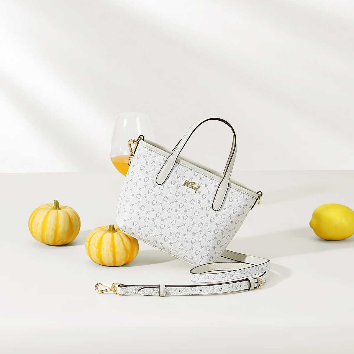 why2025新款包女轻奢高级感礼物小包女包单肩包斜挎包手提包 奶白配米白