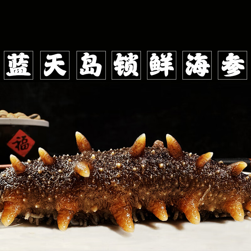 蓝天岛锁鲜海参 礼盒(8-12头)