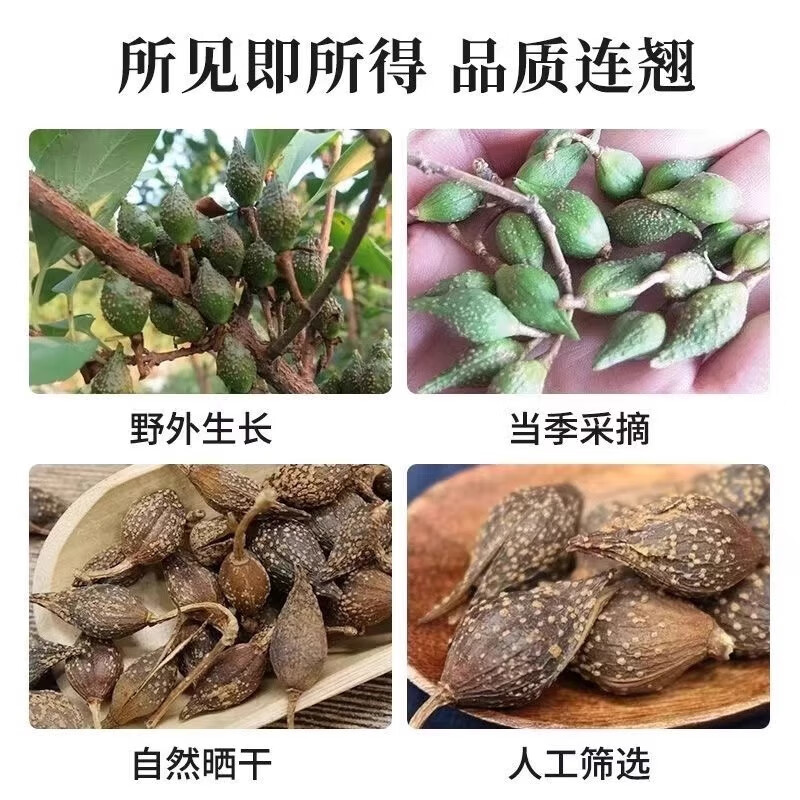 万馥堂连翘正宗中药材去柄贯叶连翘黄翘搭金银花泡茶泡水喝的功效与作用 【精品茶包/代客分装】【14副】连翘金银花