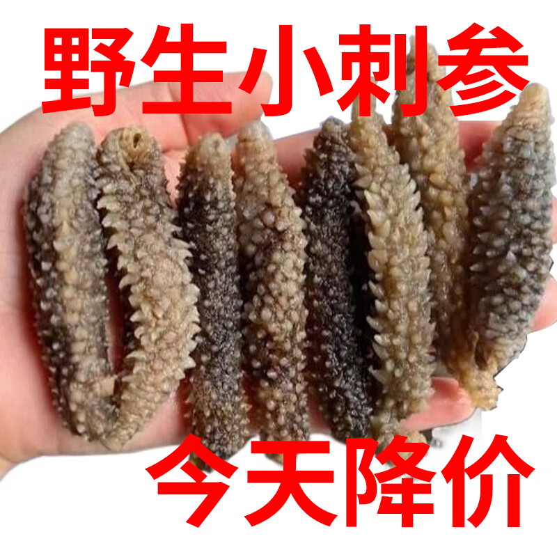 遼參野生海參干貨黑刺參孕婦級正宗刺參純淡干海參禿參非遼參 10只干海參